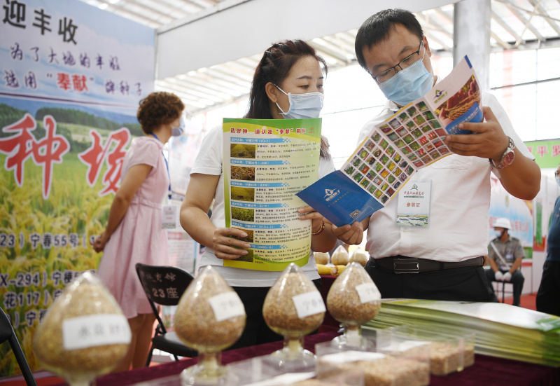 Septième exposition des graines du Ningxia organisée dans le district de Pingluo de la ville de Shizuishan dans la région autonome Hui du Ningxia de la Chine (nord-ouest)