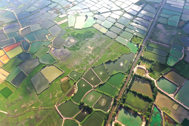 Vue aérienne d'étangs à crevettes dans le district de Hepu à Beihai