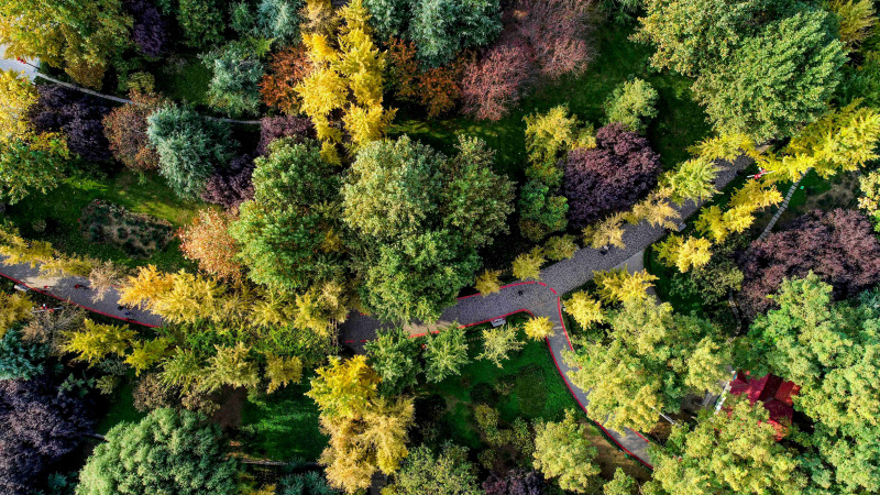 Photo aérienne du paysage automnal dans le parc de Haishan de l'arrondissement de Luquan à Shijiazhuang