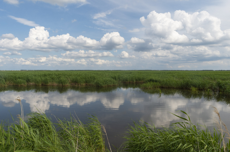 Paysage de la réserve naturelle nationale de Qixinghe