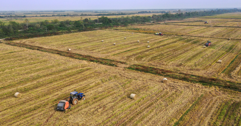 Des véhicules agricoles collectent de la paille de riz dans les champs du district de Nanchang de la ville de Nanchang