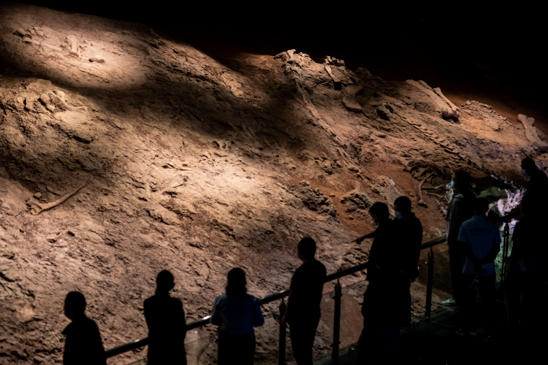 Des touristes visitent la carrière de fossiles de dinosaures de Lufeng