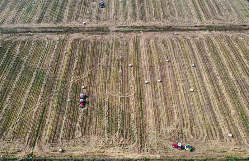 Des véhicules agricoles collectent de la paille de riz dans les champs du district de Nanchang de la ville de Nanchang