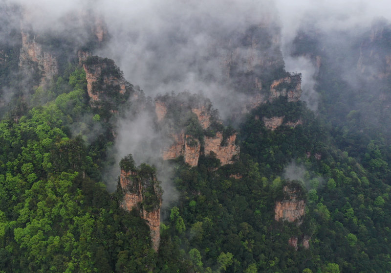 Les montagnes entourées de nuages et de brouillard dans le parc forestier national de Zhangjiajie