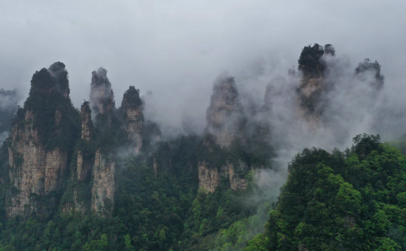 Les montagnes entourées de nuages et de brouillard dans le parc forestier national de Zhangjiajie