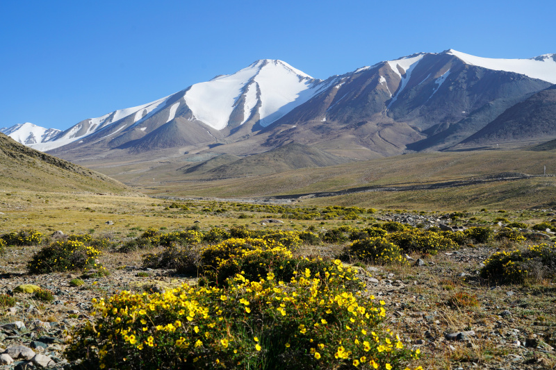 Paysage de la prairie de Haltent