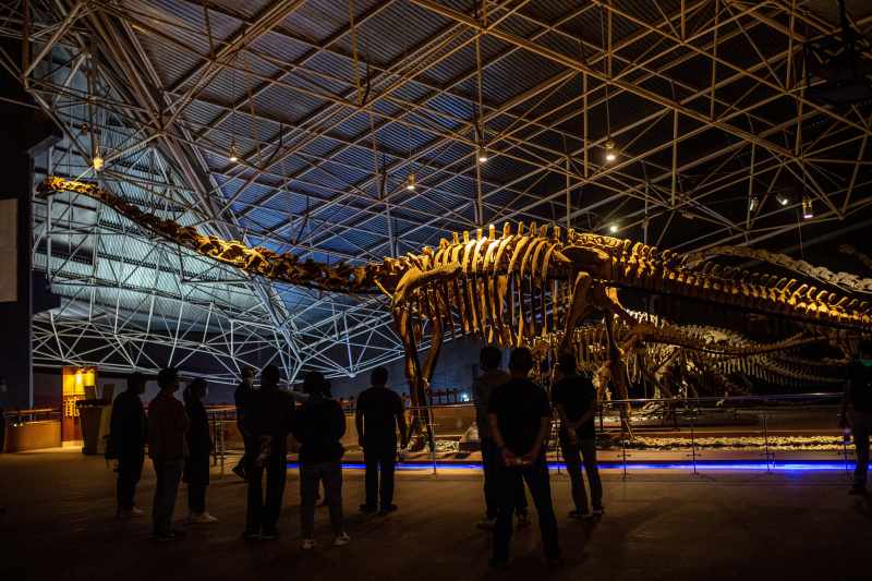 Des touristes visitent la carrière de fossiles de dinosaures de Lufeng
