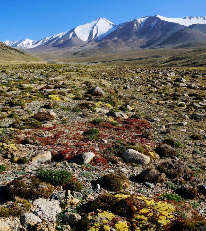 Paysage de la prairie de Haltent