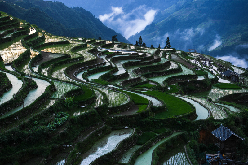 Des champs en terrasses dans le bourg de Jiabang