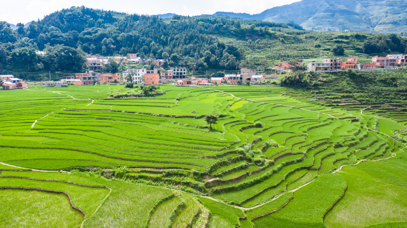 Photo aérienne de champs en terrasses dans le bourg de Xinmin de la ville de Panzhou