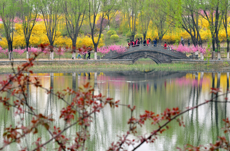 Des touristes admirent les fleurs du parc Huangtaishan à Qian'an