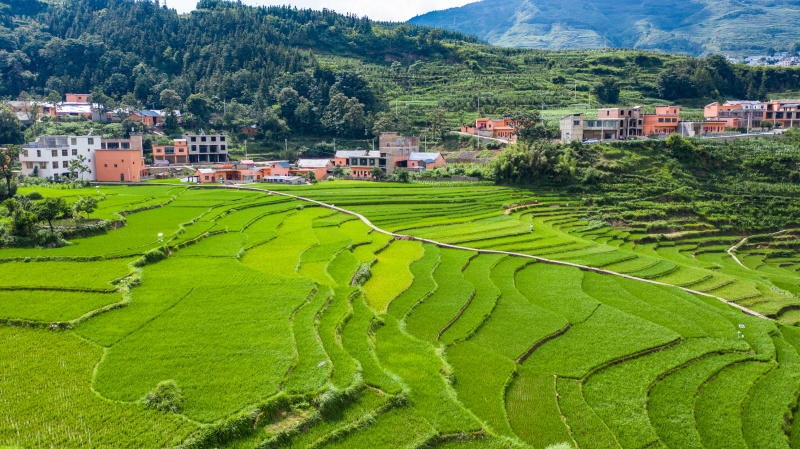 Photo aérienne de champs en terrasses dans le bourg de Xinmin de la ville de Panzhou