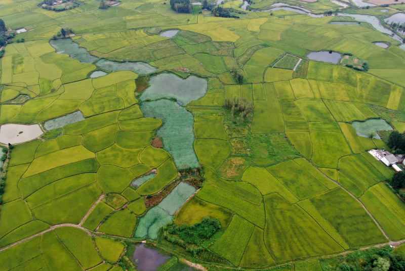 Une photo aérienne prise le 25 août 2020 montre le paysage dans le bourg de Huaidian dans le district de Guangshan