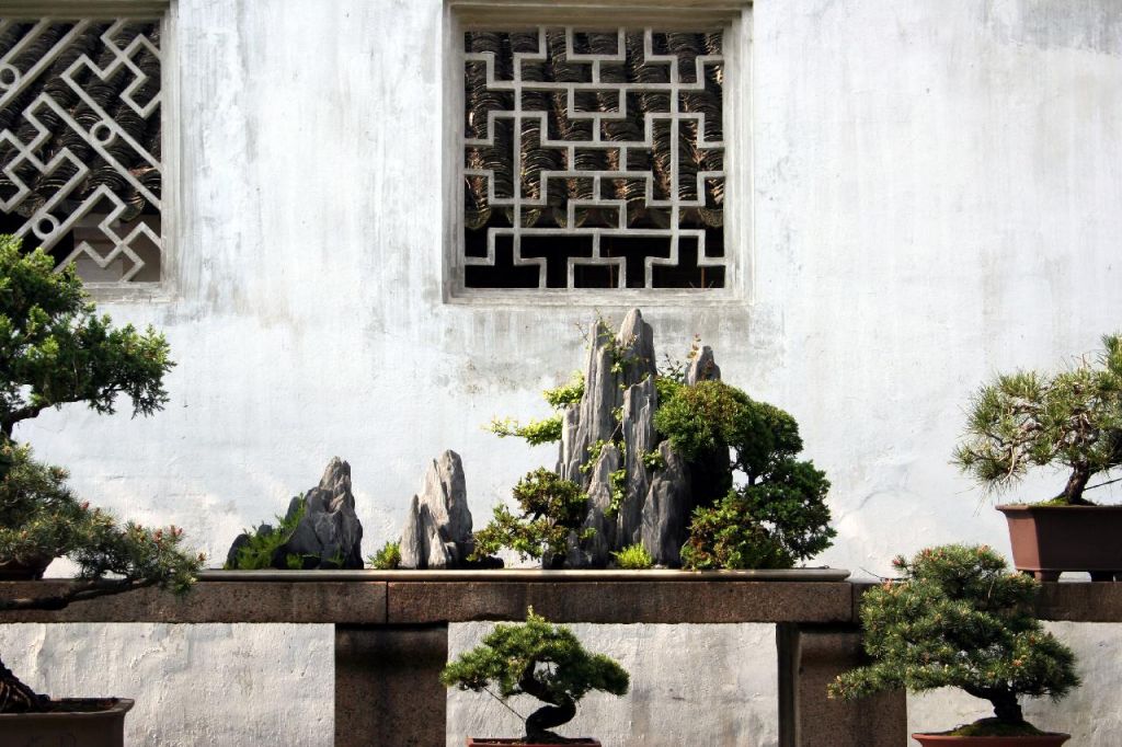 Bonsaï chinois