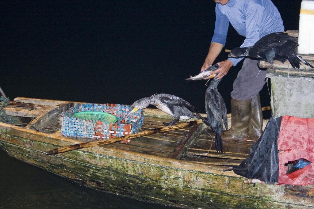 Pêche de nuit sur le LI YANGSHOU Une bonne prise