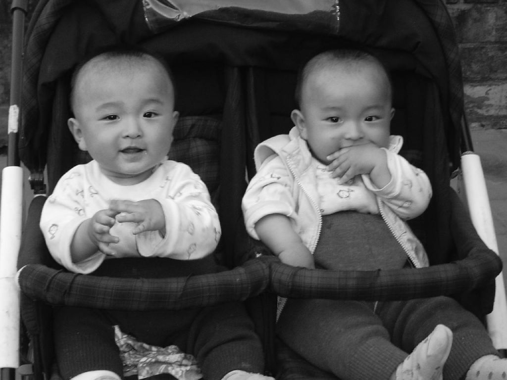 JUMEAUX DE PEKIN