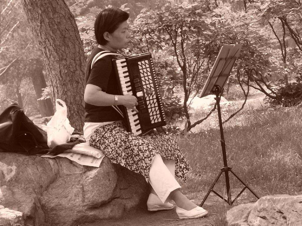 L ACCORDEONISTE