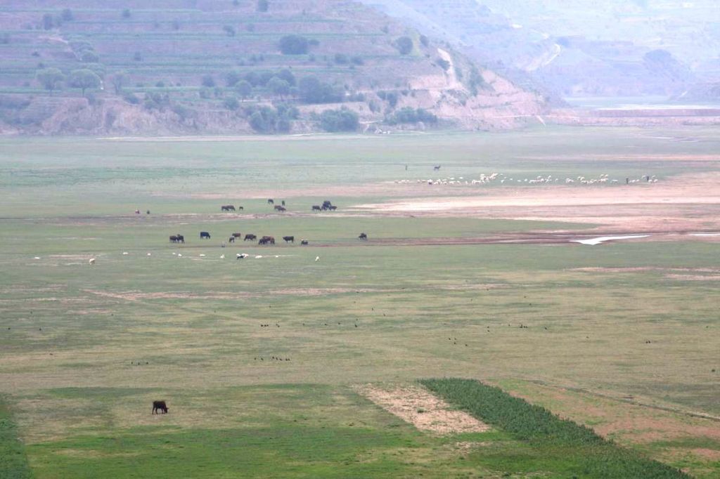 Campagne de Jining