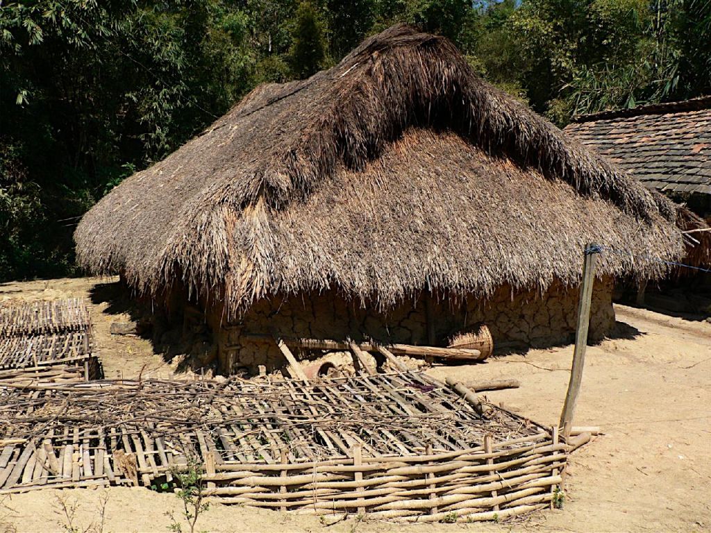 Maison Miao