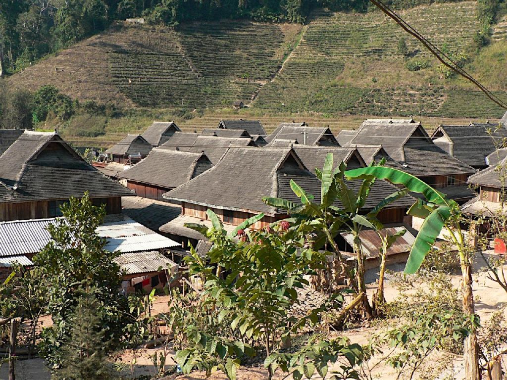 Village Dai