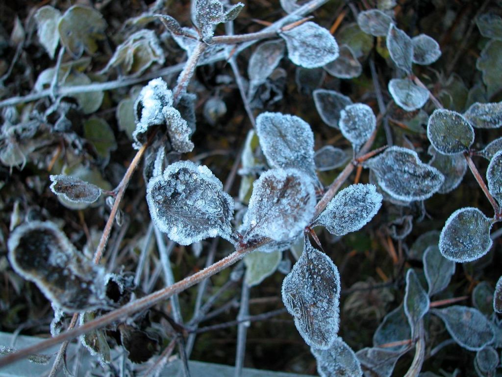 matin frais à Rezegou (2)