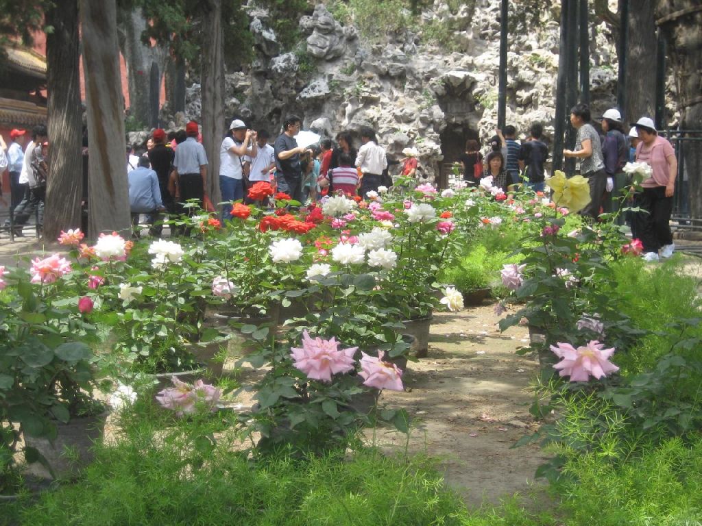Cité Interdite, Beijing