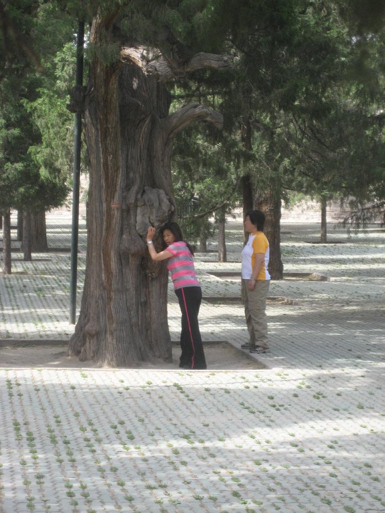 Temple du ciel, Beijing