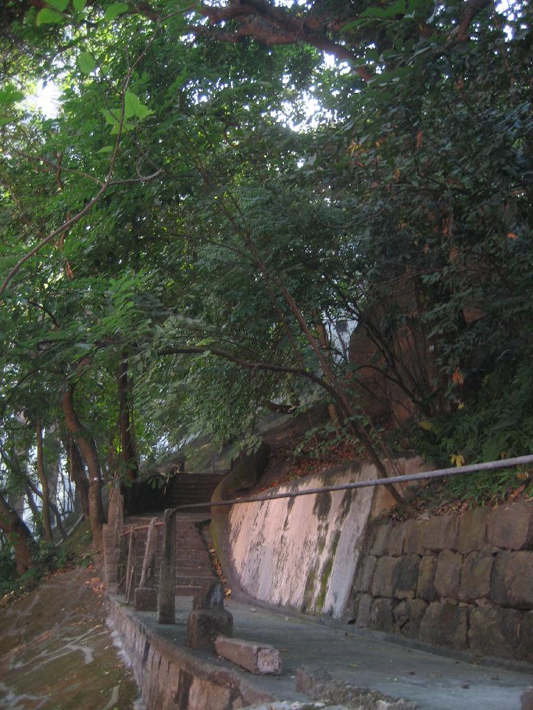 vers les hauts de Hong Kong ou la nature a rendez vous avec le ciel...
