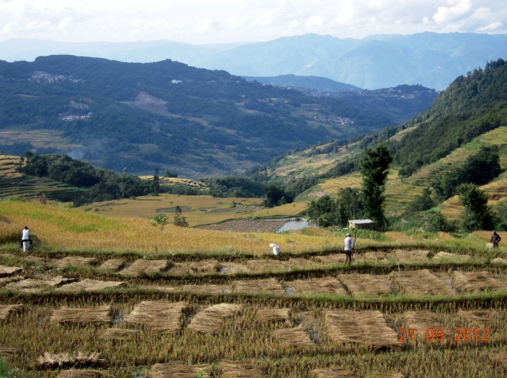 Pérégrination dans le Yunnan septembre 2012