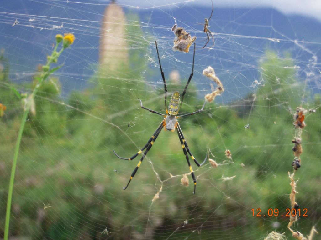 Pérégrination dans le Yunnan septembre 2012