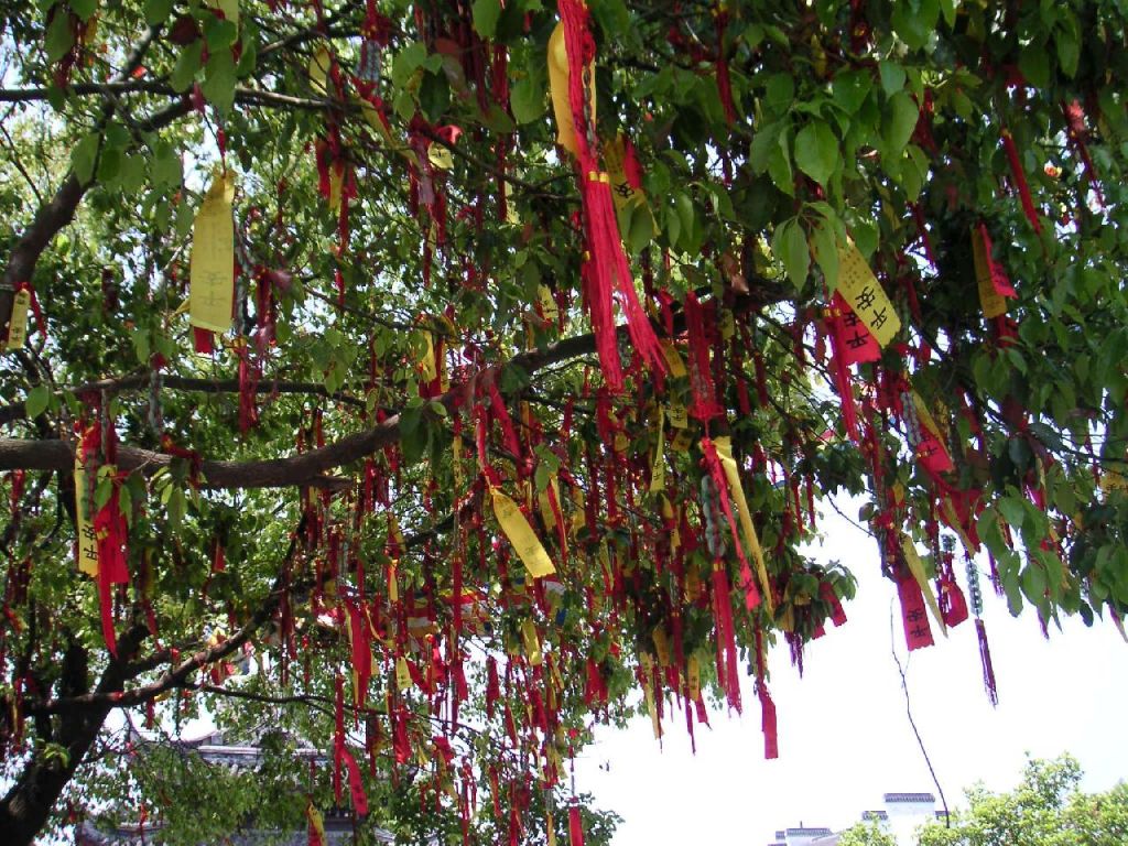 Arbre à prières