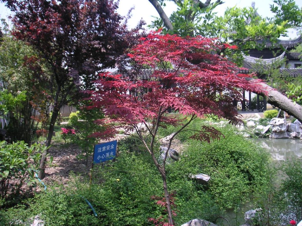 Les jardins de Mudu