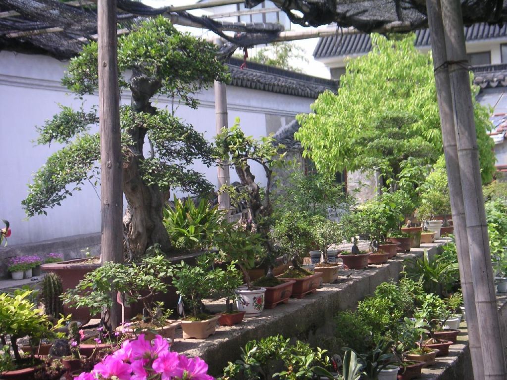 Les jardins de Mudu