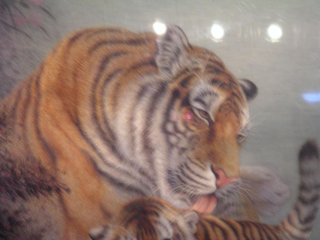 Tableaux de soie tigre