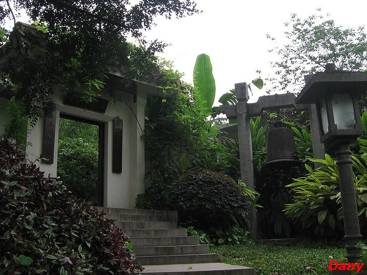 Orchid Garden