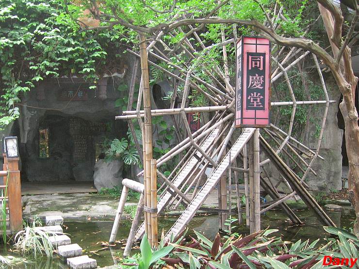 Orchid Garden