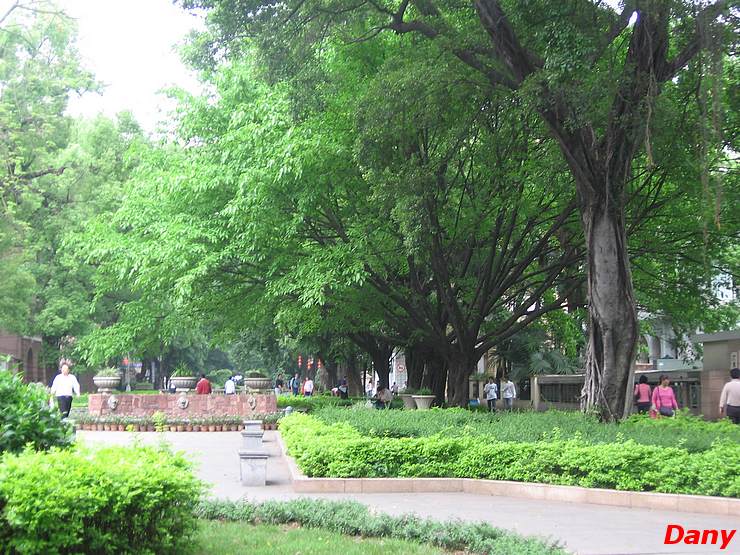 Shamian Island