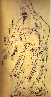 Acupuncture Charte