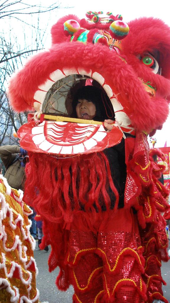 Nouvel An Chinois 2009