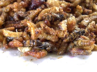 larves de guêpes grillées