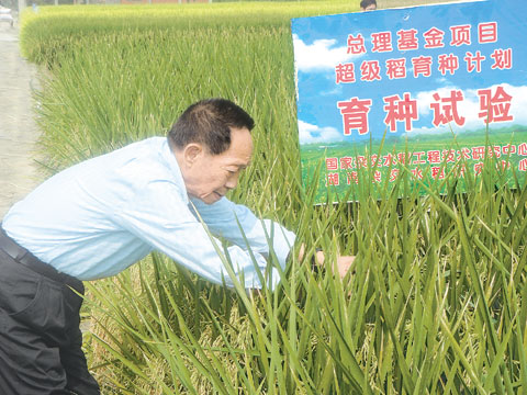 Yuan Longping