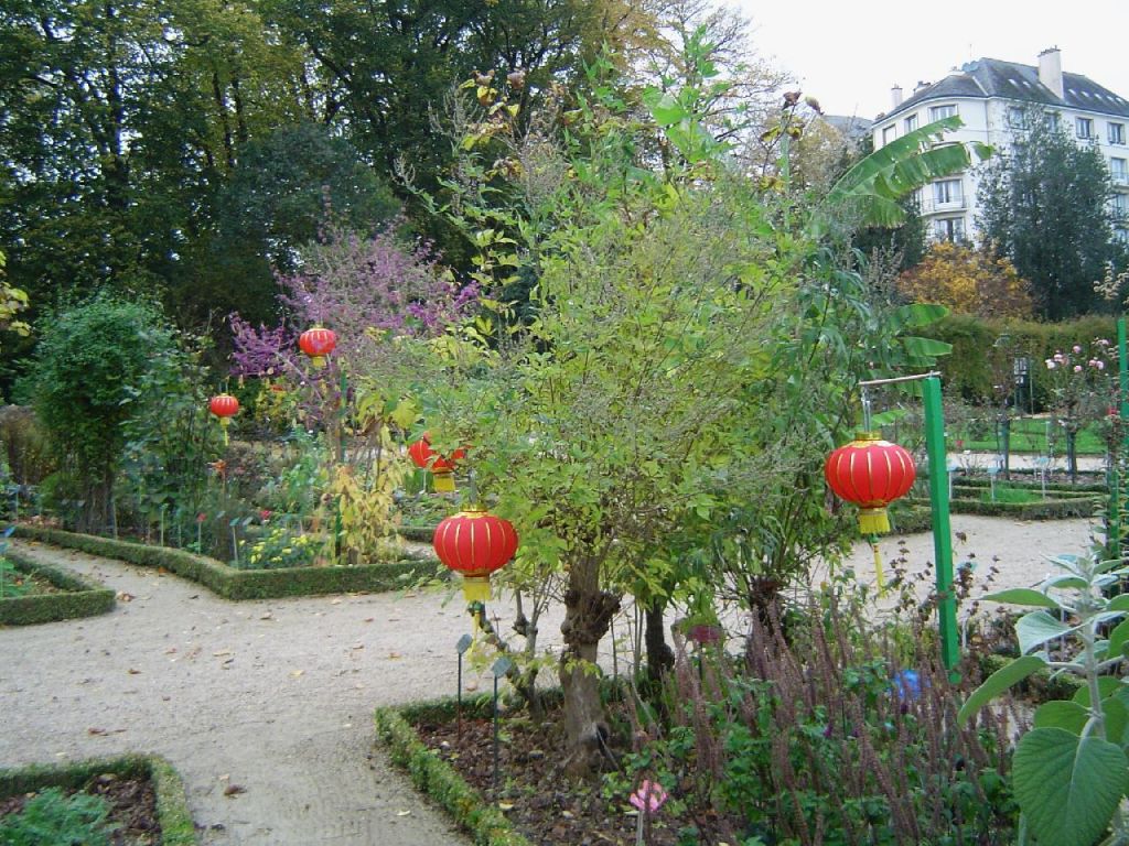 Groupes d'arbustes chinois