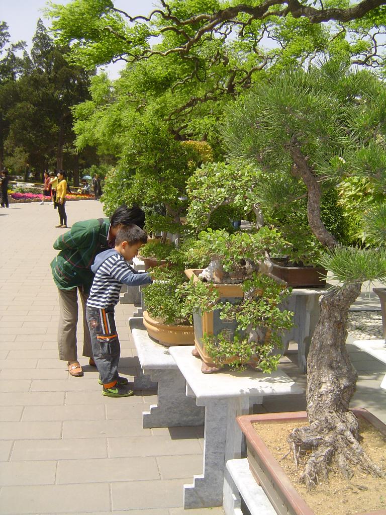 Jingshan gong yuan