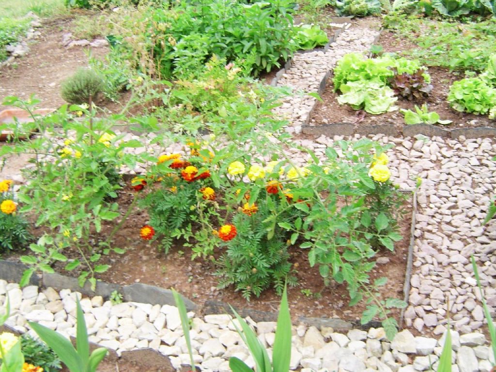 Mon jardin