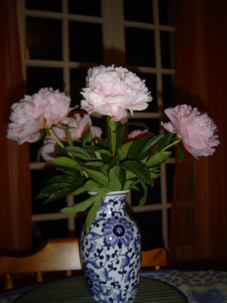 Pivoines