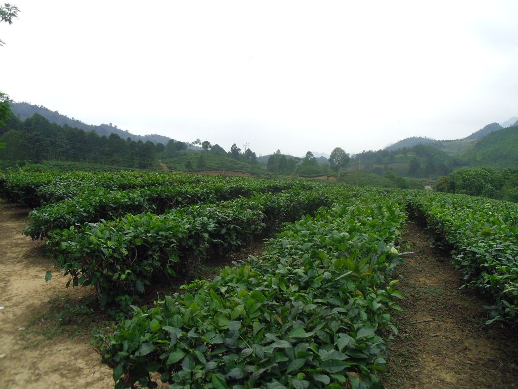 vietnam