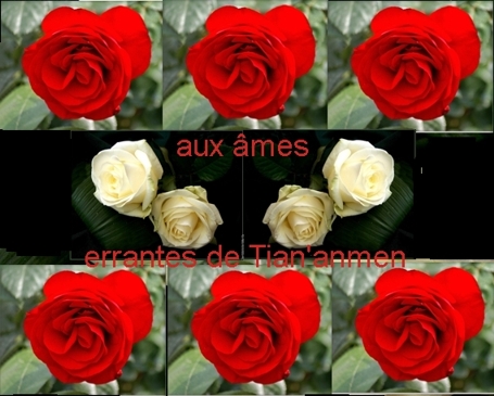 les roses de Tian'Anmen