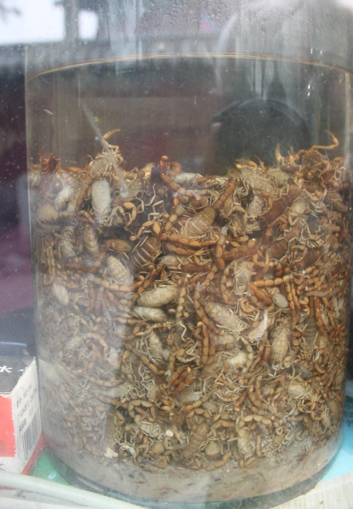 Liqueur de scorpions ?