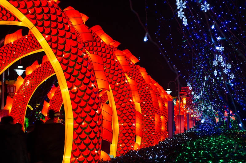 Chinese new year