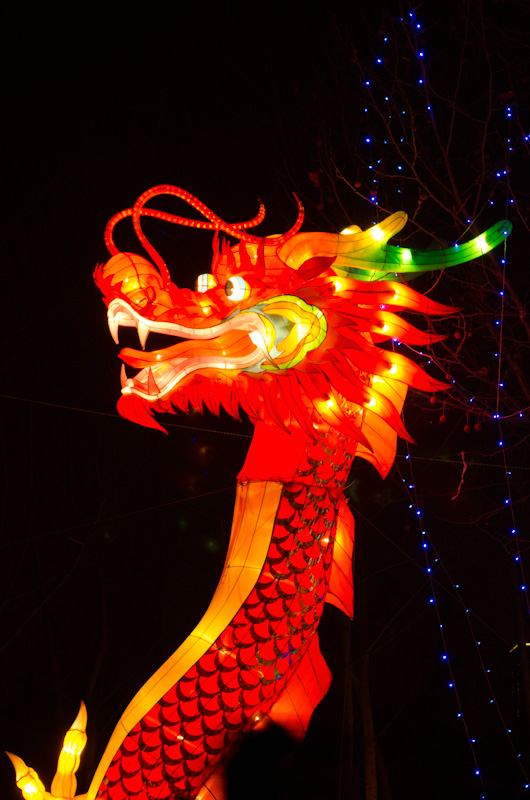 Chinese new year